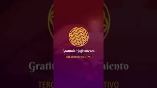 Gratitud - Sufrimiento - Tercer Piso Evolutivo