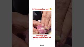 INI BUAH APA BAWANG ? | YANG TAU LANGSUNG KOMEN | #fruit #buah