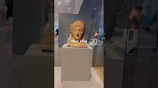 Roman Art Chicago 🇺🇸|#shorts #art