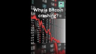 Why is Bitcoin crashing? #shorts