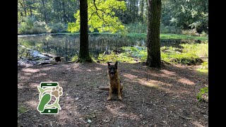 Losloopgebied Appelbergen te Glimmen - Groningen