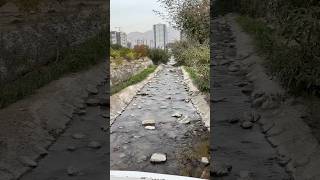 Beautiful water fountain in Tehran garden #shorts