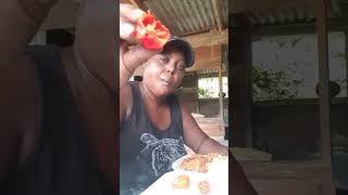 eating hottest pepper with my lunch 😋 🌶💯#jamaican style 😎 😋 🌶💯🇯🇲