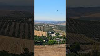 Paisaje #campiñés en #verano. #Landscape of the #Cordoba #countryside in #summer. #campiñacordobesa.