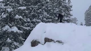 Average Utah Powder Day