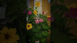 Nice flower garden #amazing #shorts #video #short