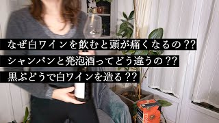 ワインでフランス一周🍷ワインの種類と造り方をゆっくり話していきます｜誰でも簡単に分かるワイン解説＃2