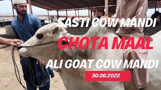 Sasti cow mandi 2022/Ali goat cow mandi @mandivlogswithEjaz