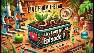 Live from the Lab at Gardin - Episode 1: Mushroom Growth & Worm Bin Ecology