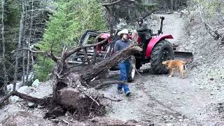 Off Grid Ranch Driveway Disaster