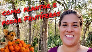 COMO PLANTAR ÁRVORES FRUTÍFERAS 🌳 COMO PODAR ÁRVORES