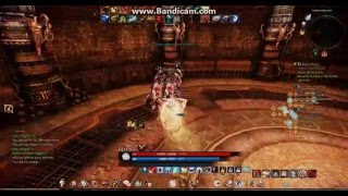 TERA brawler solo Golden Labyrinth