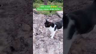 anak 😺😺😺 hitam putih meong-meong #shorts #shortvideo #shortsvideo