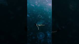 ocean of jellyfish #shorts #jellyfish