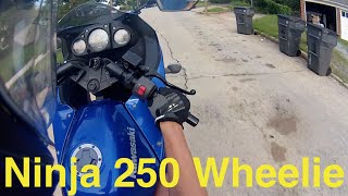 Ninja 250 Ride: I want a 1000!