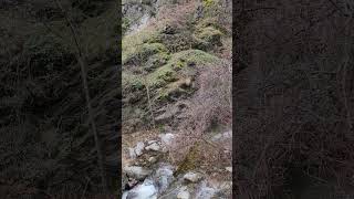 Waterfall in the Bulgarian mountains, Karlovo #Waterfall #waterfallsounds #mountainwaterfall