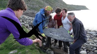 PTEROSSAURO | FÓSSIL DE DINOSSAURO JURÁSSICO É DESCOBERTO NA ESCÓCIA