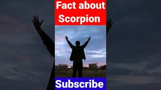 Fact about scorpion || Hidden secrets #shorts #viralshorts  #scorpion #hiddensecrets