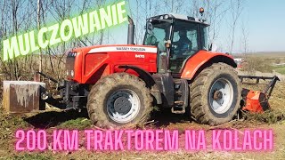 🔥200 km TRAKTOREM NA KOŁACH  ☆MF 8470☆🔥 || Mulczowanie zarośli || Prezentacja || Filmo-Vlog #5