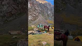 Kyzyl-Shoro valley | Kyrgyzstan 🇰🇬 #nomadpeaks #travel  #adventure #mountains #camping #shorts