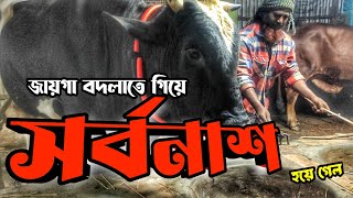 আমার বড় অস্ট্রাল তুফানের পাগলামি || Purbasha Agro