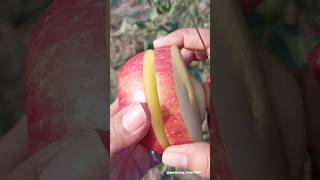 Fruit gardening 🍎🍐🍒🍈 #organicharvesting #fruit #gardening @gardening_lover7469