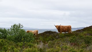 Kawasaki Z1000SX to Scotland, NC500, Isle of Skye, Lake District part 19 (Watch in 1440 / 2k)