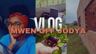 VLOG YON JOUNEN SAN TRAVAY NAN LAVIM | TOUT AKTIVITE MWEN FÈ