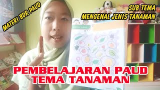 Video Pembelajaran Paud/TK Kelompok A | Mengenal Jenis Tanaman Bunga, Buah dan Sayuran