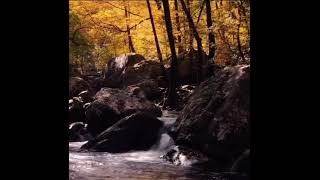 #sleepingmusic#sounds #water#waterfall#waves#sleepmusic#zen#watersounds#rain#rainsounds#relaxing#diy