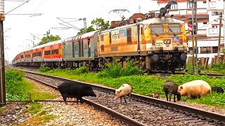 Frequently Asked Train Video Fatv Episode 18 | High speed Rajdhani Exp + Magadh Exp Etc. I R