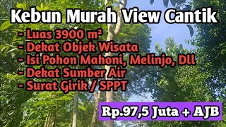 Dijual Kebun Murah View Cantik Udara Sejuk Dekat Objek Wisata Puncak Cibaja