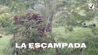 La escampada