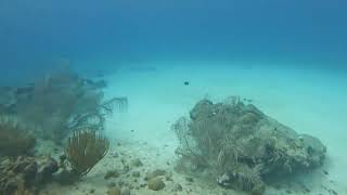 Playa Lagun , 1-15-24, Curaçao