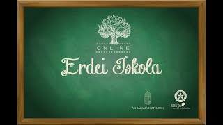 Online Erdei Iskola 2. rész # Nyírerdő Zrt - Pál Miklós Erdei Iskola