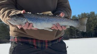 Ice fishing trout, perch, pickerel