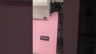 CORTES PEQUEÑOS CON EL PLOTER DE CORTE MIMAKI CGSRII