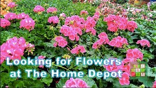 [Cuộc sống ở Mỹ] - Looking for flowers at The Home Depot - [Tập #223]