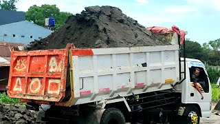 TRUK JOMPLANG.Dump Truk Cadas Bongkar Muatan Pasir Full Bak Menggunung Lokasi