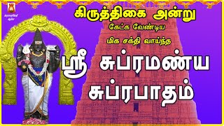 KIRUTHIGAI SPECIAL | SUPRAMANYA SUPRABHATHAM | LORD MURUGAN DEVOTIONAL SONG | MURUGAN BAKTHIPADAL