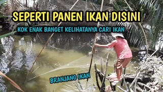 tangkap ikan enak Banget Bapak Ini Cari Ikan  || Branjang Ikan || Hanco Ikan || nets fishing