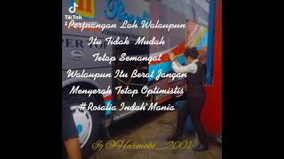 Story Wa Quotes 30 Detik Pramugari Cantik Bus Rosalia Indah