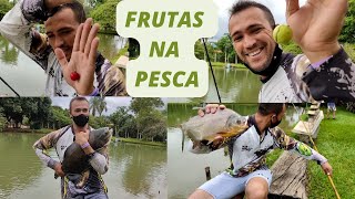 Frutas para pescaria de pacu e tamba qual a melhor?