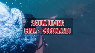 PERTAMA KALI SCUBA DIVING DI BIMA, TEMPAT MENYELAM YANG BAGUS