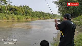 mancing udang