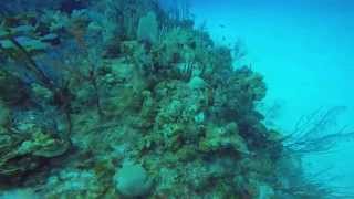 Cayman Brac Scuba Trip II - April 2015