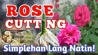 ROSE CUTTING: SIMPLEHAN LANG NATIN! II PROPAGATING ROSE BY CUTTING II Teacher Ryan Gallardo