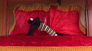 OddSox Puppet Theatre