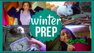 Guinea Pig & Rabbit Winter Prep (part 1)