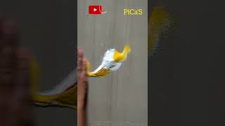 @picasartpage Subscribe for More Videos | Easy Ganesha Rangoli | Simple Rangoli